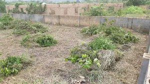 Fenced and Gated Plot of Land for Sale in Ogijo