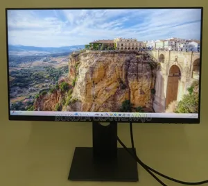 Dell P2419h Monitors