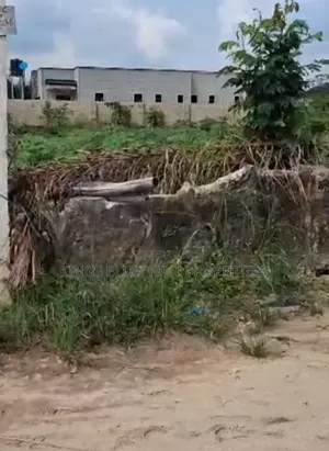 100 by 100 for Sale at Okuokoko Near Warri Delta State
