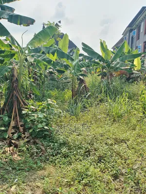 20 Plots for Sale Along East West Rd Port Harcourt