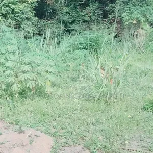 26 Plots of Land Available for Sale