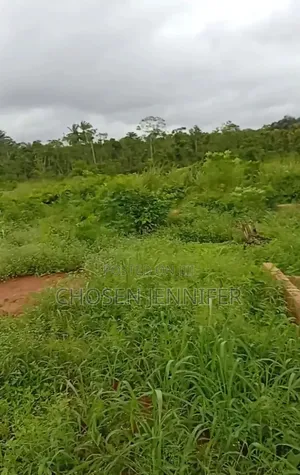 Affordable 100/100/ Land for Sale