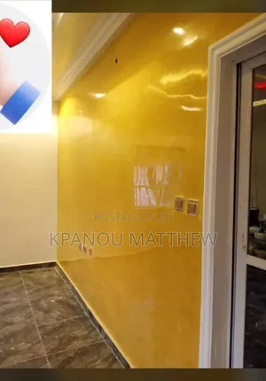 A Professional Painter