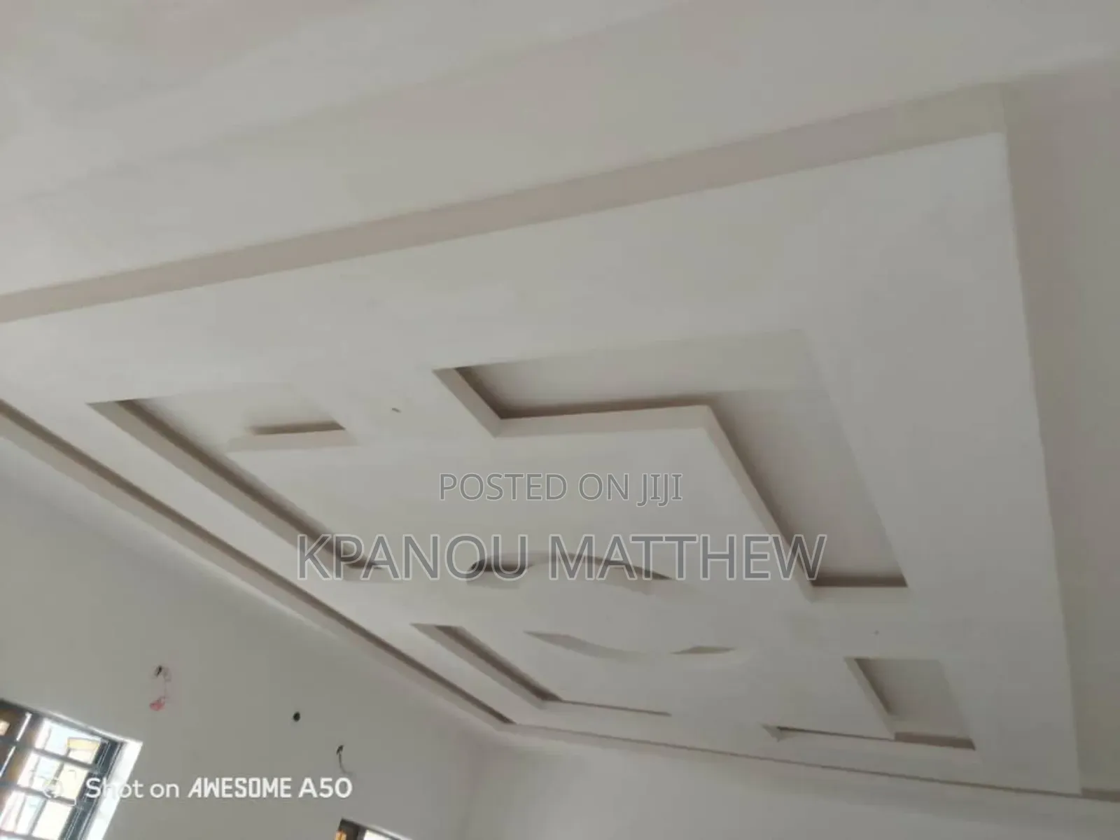 A Professional Painter