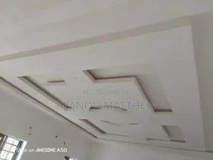A Professional Painter