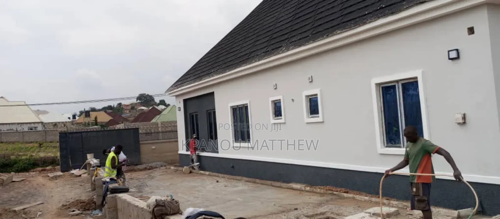 A Professional Painter