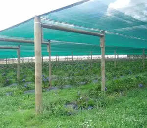 Original Shade Net