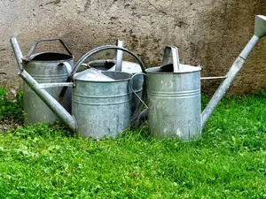 Original Watering Can
