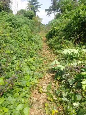 One Plot of Land in Benin City