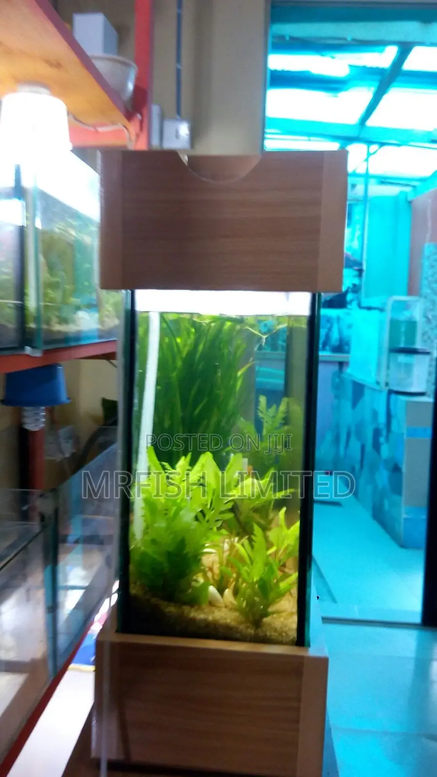 Big Slim HDF Aquarium.