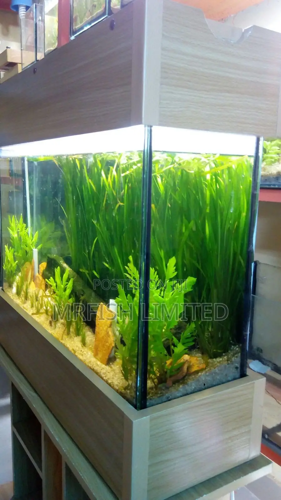Big Slim HDF Aquarium.