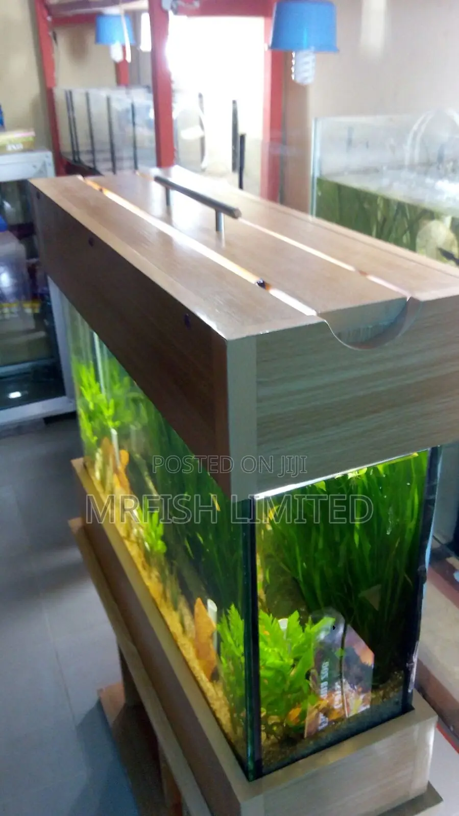 Big Slim HDF Aquarium.