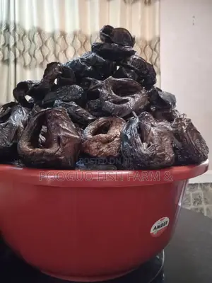 Pooguo Catfish Farm Agricultural Produce Limited