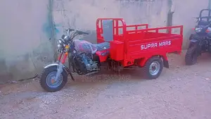 New Tricycle 2025 Red