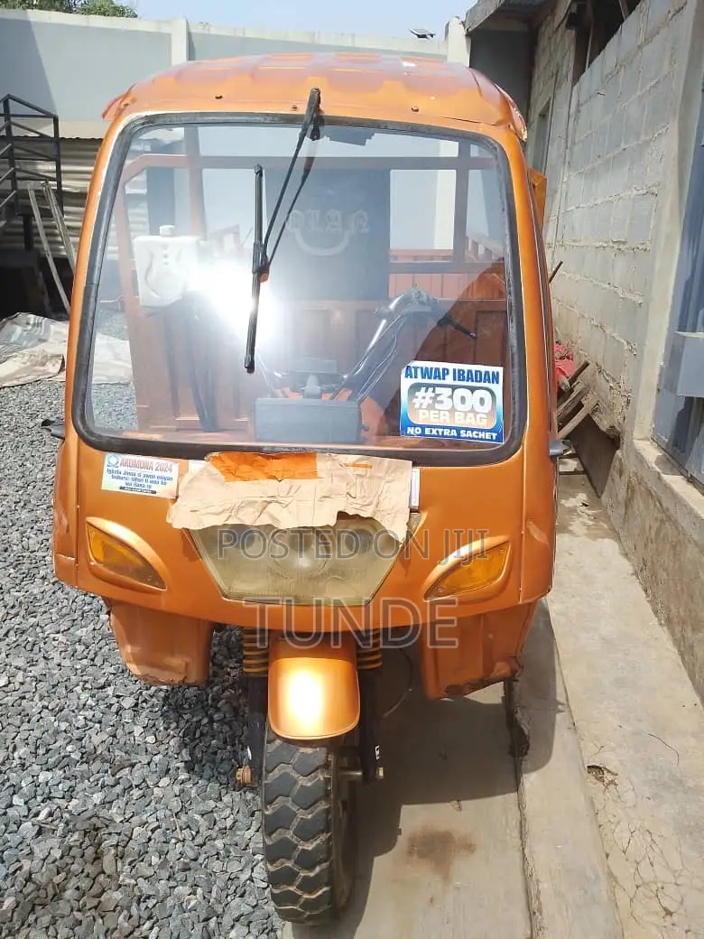 Tricycle 2024 Gold