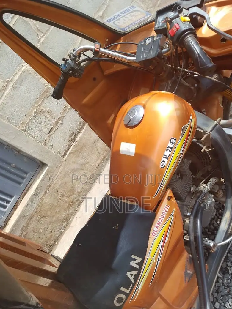 Tricycle 2024 Gold