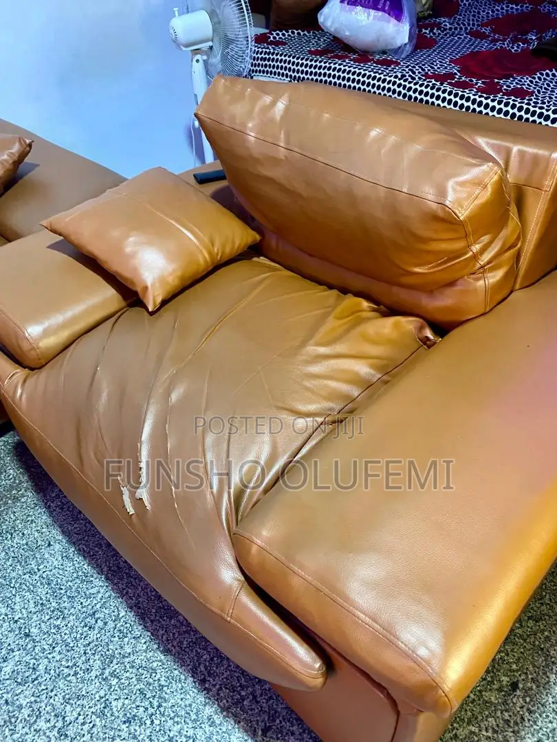Palour Chairs