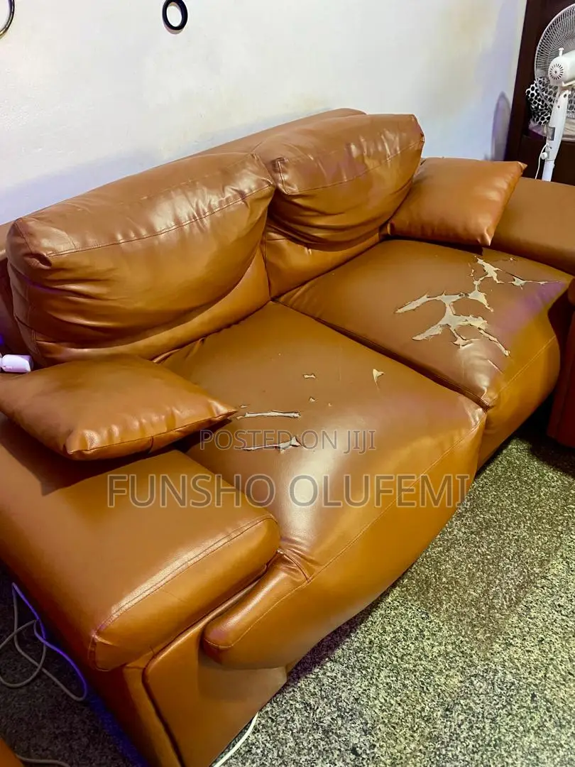 Palour Chairs