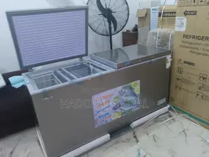 Snowsea Bd700 Storage Deep Freezer