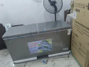 Snowsea Bd700 Freezer For Home And Business Use