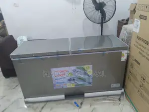 Snowsea Bd700 Door Chest Freezer
