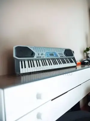 Casio Ctk 491 Electronic Piano Keyboard