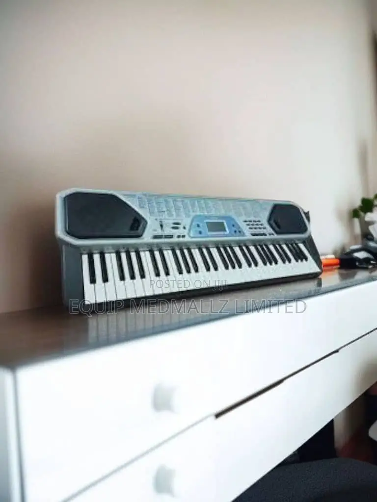 Casio Ctk 491 Electronic Piano Keyboard