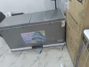 Snowsea Bd700 Chest Freezer For Frozen Goods