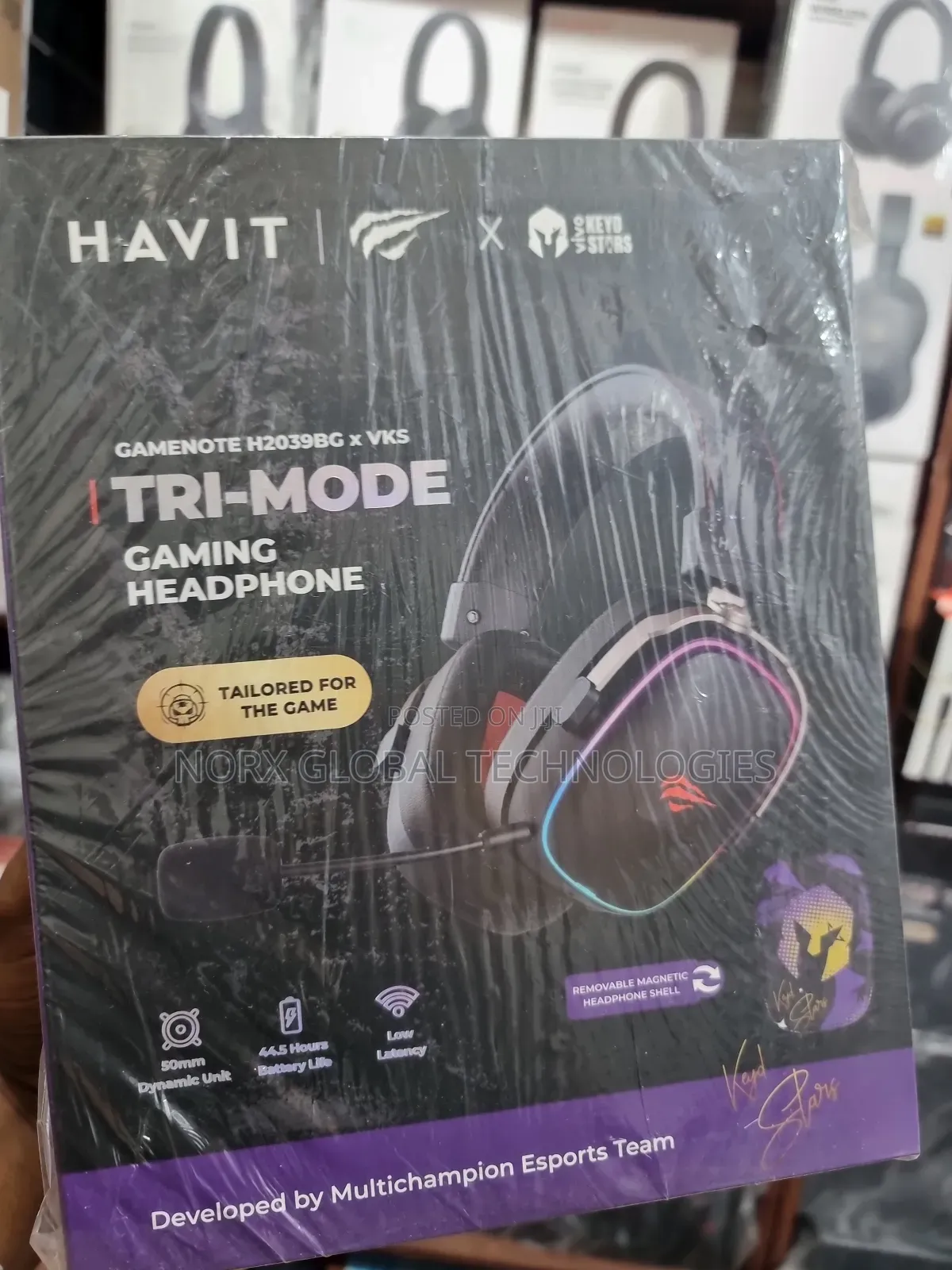 Havit H2039bg Wireless Gaming Headset