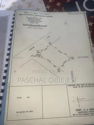 Plot of Land at Nkwelle Ezunanka