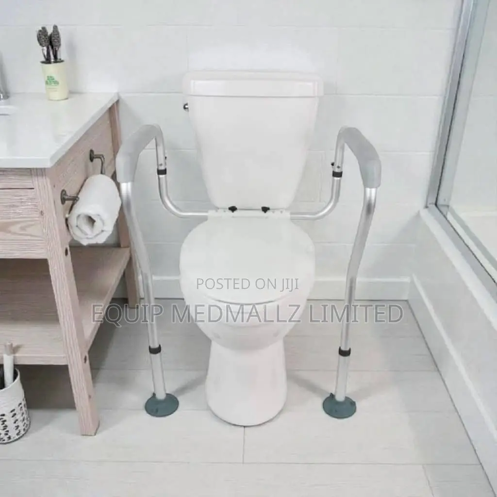 Vive Safety Toilet Rail
