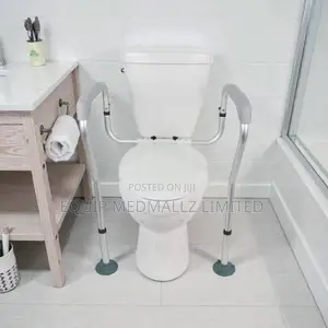Vive Safety Toilet Rail