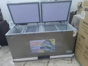 Snowsea Bd700 Commercial Cold Storage Freezer