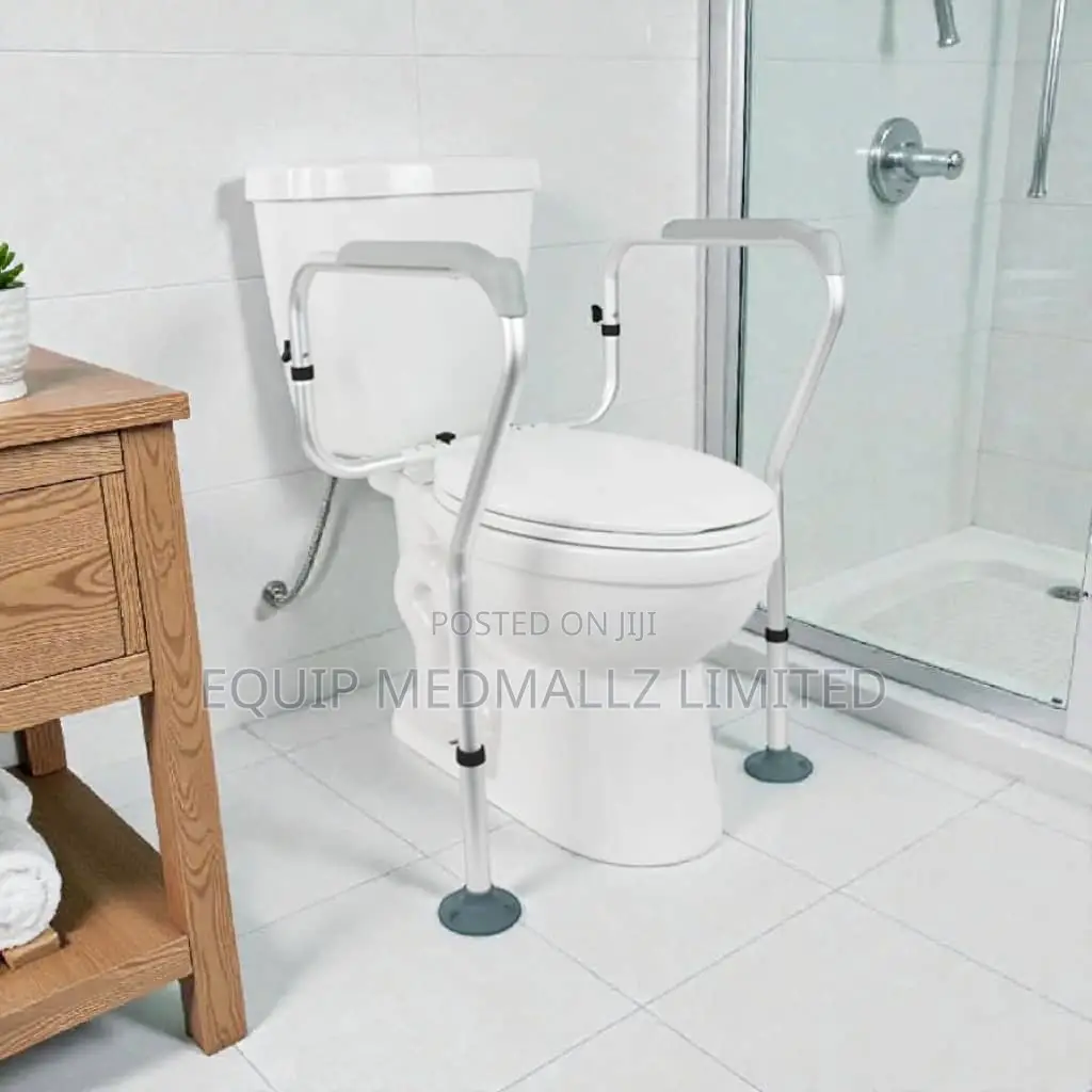 Vive Safety Toilet Rail