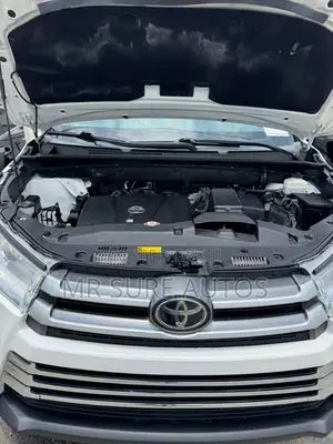 Toyota Highlander XLE 2019 White