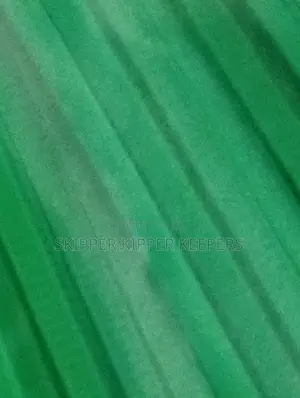 Rubber Clips (100 Pcs)