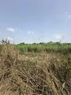 50 Acres Available at Okaka, Itesiwaju Local Government