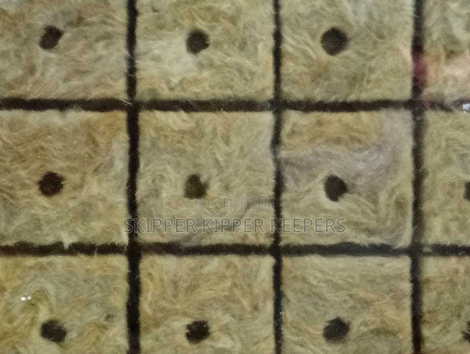 Soiless Seedling Blocks (50 Pcs)