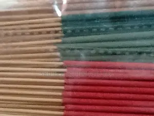 Insects Stick (20pcs)