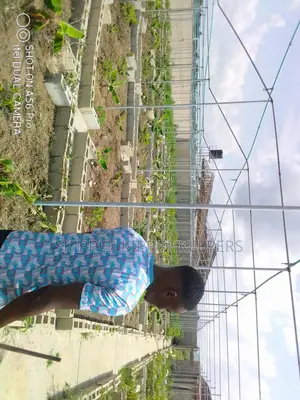 Greenhouse Construction
