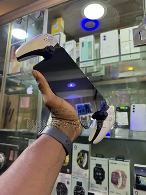Playstation Portal