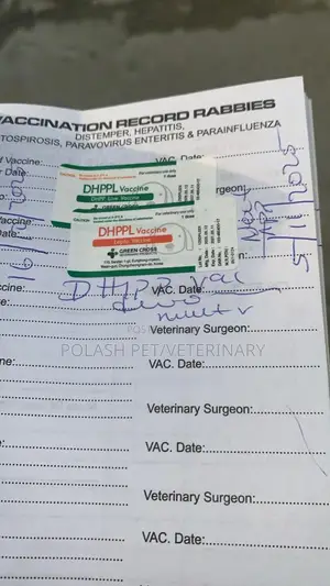 Veterinarian in Victoria Island | Home Pet Treatment