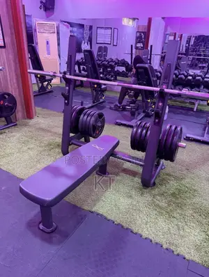 Commercial Heavy Duty Weight Bench