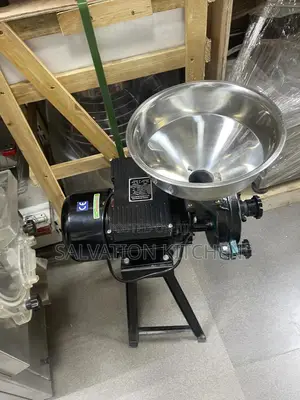 Industrial Wet and Dry Grinder