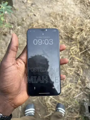 Apple iPhone XS Max 256 GB Gold