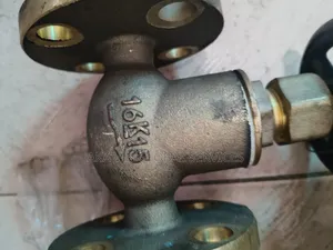Jis Marine Bronze Screw Down Check Globe Valve