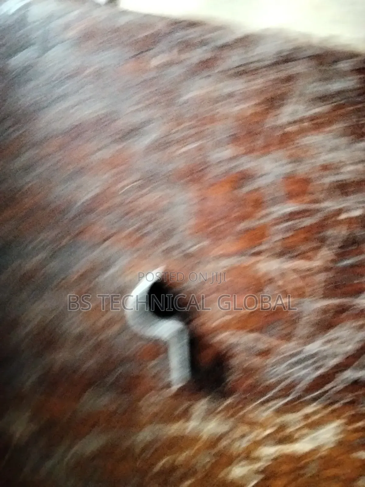 Tubing Pipe Clamp 1/2"