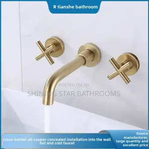 Luxury Black Conceal Wall Mixer
