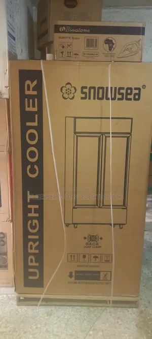 Snowsea Show Glass Standing Fridge Low Voltage With Avr