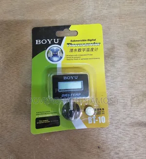 Submersible Digital Thermometer